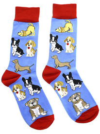 ����� �.37-44 