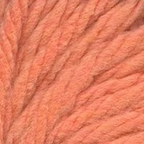 ����� ������� �������� (���) 0463 ����