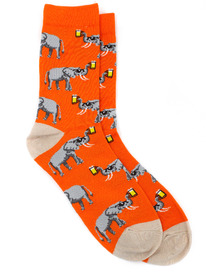 ����� �.37-44 ���� � �����