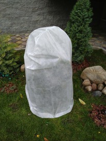 ������ ����� �� ���������