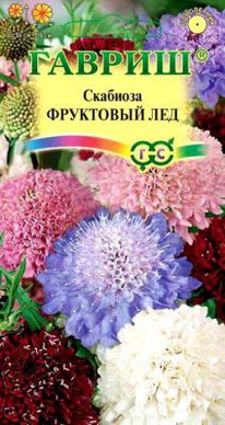 ������. �� 12.25 �������� ��������� ���, ����� ��������