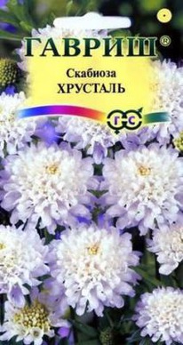 �������� ��������