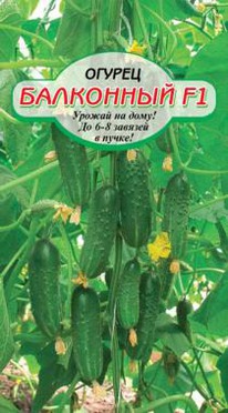 ������ ��������� F1