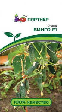 ������ ����� F1, �� 31.12.25