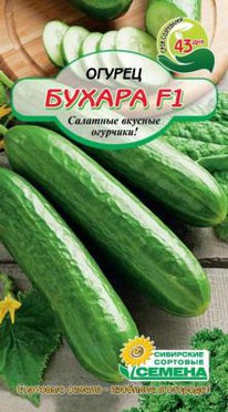 ������ ������ F1