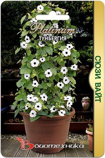 ��������� ���� ����