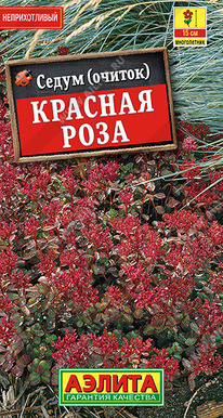 ����� ������� ���� �����������