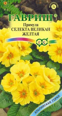 ������ ������� ������� ����� ���������� �����