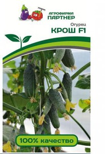 ���� F1 ������, �� 31.12.25