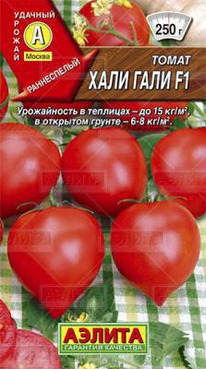 ����-���� F1 �����