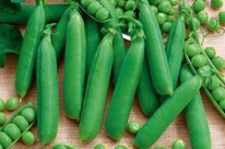 ������� ����� ������� ������