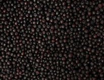 ������� ������������