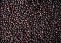 ׸���� ��������� 1 ����� �����������������