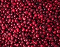 ����� � ��������� ������������