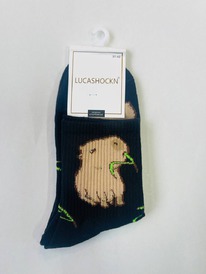 �����, 1 ����