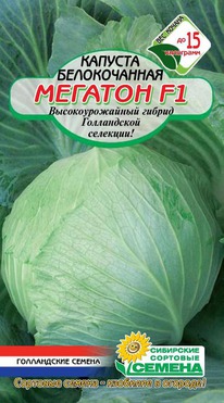 ������� �/� ������� F1