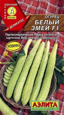 ������ ����� ���� ��������� F1