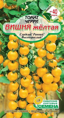 ����� ����� ������ �����