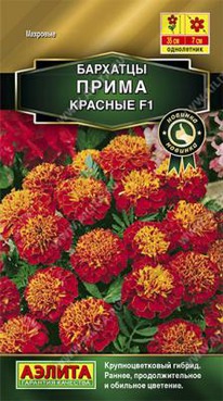 �������� ����� ������� F1 �����������