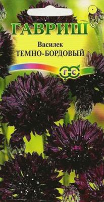 ������� �����-��������