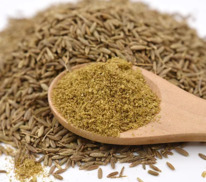 ���� (�����) �������