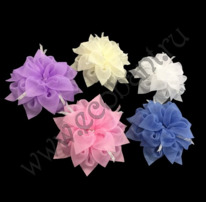 ���� ������  14��