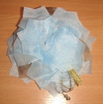 ���� �������� 11��