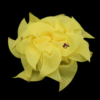 ���� ������� 18��