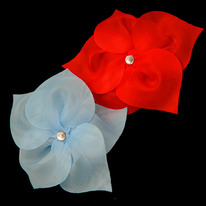 ���� �������� �����