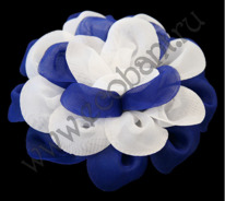 ���� ������� 10��