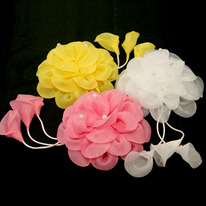 ���� ������� 13��