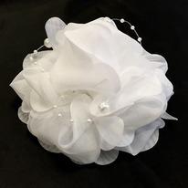 ���� ������� 13��