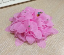 ���� ����� 11��