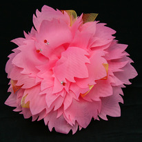 ���� ������ 18��