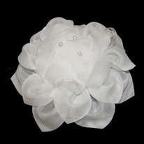 ���� ��������� 1 (10��)