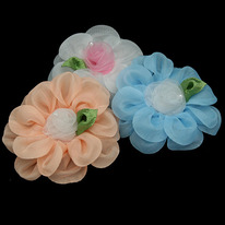 ���� ����� ����� 12��