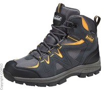 ������� Scout 36 �-� �����