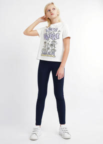 ���������� _  Clever �������� ������� CLE 824969� �������: 146 �.�����