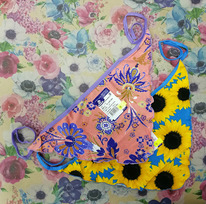 ������� ����������� Basia