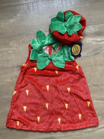 ������ ������������ 