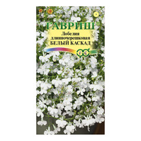 ������� ��������� �����