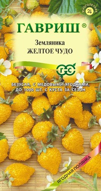 ��������� ������ ����