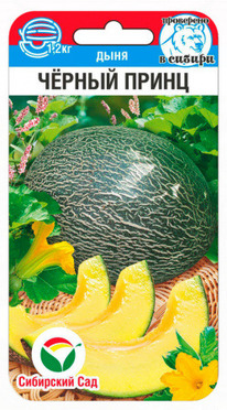 ���� ������ �����