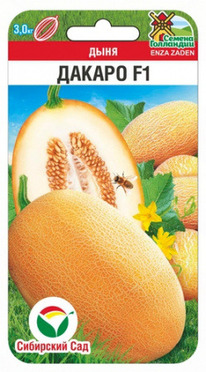 ���� ������ F1