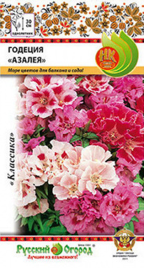 ������� ������ �����