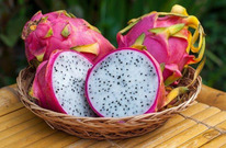 �������� ����� ����� 2-3�� ������������