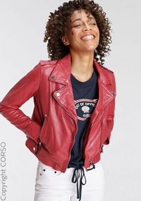 ������� ������ � ���������� ����� �.38 Alpenblitz