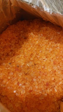 ���� ��� ���� ������ 