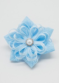 ���������� _ �������� ���� ��������  �������