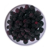 ������� �����������������